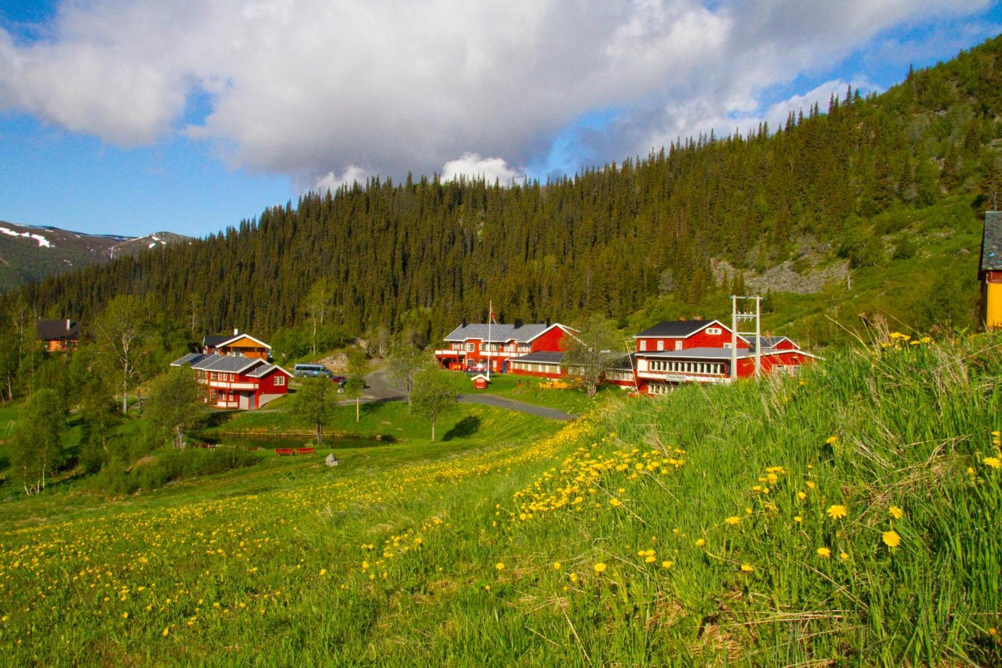 Gronolen Fjellgard Hotel Beitostolen Екстериор снимка